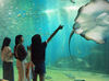 未経験さん大歓迎★水族館でレアバイト♪
体を動かして楽しく働けます！無料駐車場も完備で通勤ラクラク！