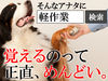 ＜優しい先輩が新人さんをフォロー＞
業界未経験の方でも丁寧にお教えします♪
まずは現場の雰囲気に慣れる事から*