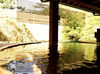 自然に囲まれた温泉は自分への最高のご褒美♪
箱根の四季を堪能しながら
一緒にゆったり働きませんか？