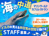 レストランの一番の推しは目の前の大水槽！
可愛いイルカに癒されながら働けます◎
水族館ならではのかわいいメニューも★