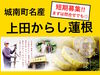 ★★12月23日～30日の限定短期★★
勤務期間終了後にからし蓮根のプレゼントも！？
帰省中だけ/Wワーク/冬休みを利用してetc.