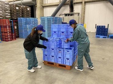 仕分けスタッフ 今年openの新倉庫 即日勤務も歓迎 誰でもカンタン食品ピッキング のパート パート求人 募集なら マイナビパート