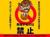 ＼20代～40代staff活躍中♪／
嬉しい日払いOK★
気軽にスタートできるシンプルなお仕事！