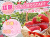 いちご狩りの受付募集！
他にも簡単な事務をお任せ◎
特別なスキルや経験は不要です！