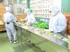 週休2日制で安定勤務！自分のペースで安定して働けます◎未経験でも始めやすい工場作業です◎