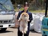 わんちゃんと一緒に働ける？！
みんな癒されながらニコニコ作業しています(*^^*)
もちろん作業の邪魔はいたしません…（笑）