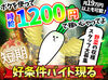 「期間限定の短期…／長期で安定…」など、働き方はご相談ください♪
※画像はイメージ