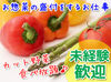 自転車通勤もOK！無料の駐車場・駐輪場を完備しています◎
「近場で柵っと働きたい」という方にピッタリ♪