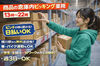 髪型、髪色、ネイルも自由です！
オンライン面接OK！
ご自宅からでも面接が可能です