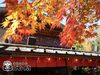 高尾山口駅から無料送迎バスあり♪
南浅川町、東浅川町、初沢町、狭間町、八王子市内など
お店付近に住んでいるスタッフが多数◎