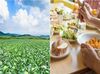 アナタの働きやすさを重視!
週2日～ライフスタイルに合わせて働けます★