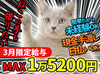 週1日～勤務OK＆シフト柔軟♪
単発も短期勤務可能⇒働き方”超”柔軟◎