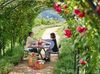 フラワーパーク内にあるレストラン
 「Rose Farm House」
色とりどりの花が咲く空間で
キッチンスタッフとして活躍しませんか？