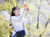 「普段、スマホで写真を撮るのが好き」
「出かけた先でつい写真を撮っちゃう」
そんな方ならもう十分即戦力◎

※画像はイメージ