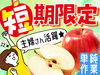 10月からスタートのお仕事！
1～2ヶ月の短期でサクッと稼げます♪