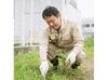 自然に囲まれてモクモク作業★
家庭菜園や園芸好きのスタッフ多数♪
草花から果樹まで幅広く携われます！