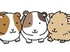 動物たちのお世話をしながら、研究の一端を担うお仕事です！
丁寧にサポートしますので安心してくださいね◎
※画像はイメージ