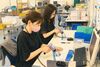 ダイレクトメールを仕分けて、チェックしたり、箱詰めしたり。作業自体はとってもカンタン◎未経験の方も安心して始められます♪
