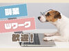 あなたの希望の働き方など、なんでもお気軽にご相談ください！
他のお仕事も多数あります♪
※画像はイメージ