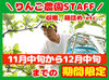 ▽ 未経験大歓迎 ▽
難しいお仕事は一切ありません◎
先輩STAFFがしっかりフォローします♪