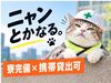 元飲食・営業・サービス業・物流業など
未経験から始めた方も多数！
60代、70のスタッフ多数在籍★