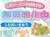 ◆面接は1回のみ！
◆即日結果発表！
⇒面接より3日以内に合否をお伝えします♪