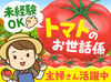 ハウス内は土を使わない清潔な環境！安心して働ける職場です。