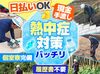 日払い&手渡しOKだから、
頑張った分だけ即お給料GETできるのが魅力♪
未経験からできるお仕事ばかりなので
ご安心ください◎