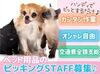 南方｜ペット用品ピッキング▼･ω･▼
短時間もフルもOK◎
20代～50代まで幅広く活躍中♪