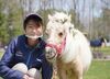 業務で馬に触ることは一切ないので、動物との触れ合いに慣れない方もご安心ください！
年齢不問で活躍できるお仕事です。
