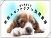 ブランクがあっても大丈夫♪先輩がしっかりフォロー！不安なことはいつでも相談できる環境です★