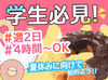 学生さん・主婦(夫)さん・フリーターさん歓迎！
シフトの融通が利くので、学校・ご家庭との両立やWワークも無理なくこなせます♪