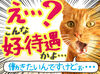 食事補助制度あり！メニューが全品半額◎
お持ち帰りもOKなので、「今日はごはんの準備面倒…」なんて日にも便利♪
