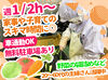 未経験OK★主婦さん・シニア活躍中！！
自分のペースで働けるシフト自由な職場です♪
