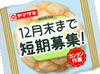 無理なく週1から勤務OK◎
「家賃分だけでも稼ぎたい…」
「生活費の足しにしたい…」
⇒Wワーク・副業にもオススメ★