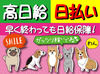 日々多くの人の安心を守るグリーン警備。
「スタッフにも"安心"して働いてほしい」
その想いから多数の手当をご用意しました