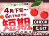 温度管理されたキレイな建物内で
「座って作業」できるから体力も不要♪
集中してモクモク仕分け…
楽しくてハマっちゃいます!!!