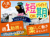 九州で知らない人はいない！？
大人気のテーマパーク◎
「遊園地が好き！」「冬休み中働きたい！」
など応募理由は何でもOK★