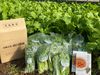 スーパーにも山口農園の商品置いてるので自分が生産を手伝った野菜が
店頭に並ぶ喜びもありますよ(*'ω'*)